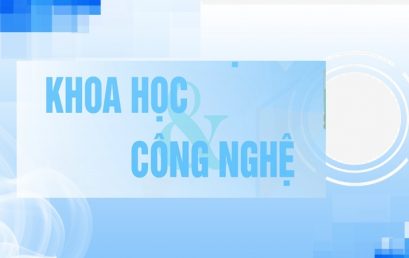 Tổng hợp các quy định và hướng dẫn