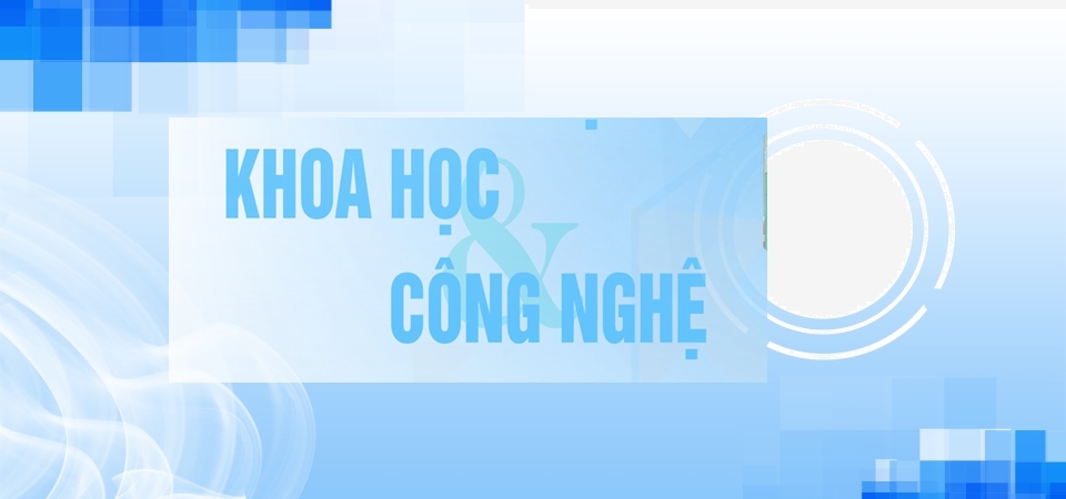 Tổng hợp các quy định và hướng dẫn