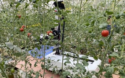 Robot hái trái cây tự động – giải pháp mới cho ngành nông nghiệp công nghệ cao